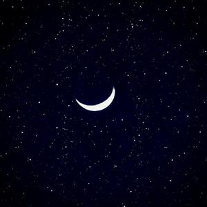 4i小狗哭唧唧视频
