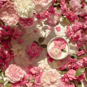 4i小狗哭唧唧视频
