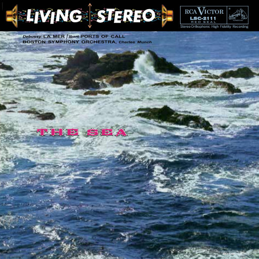 4i小狗哭唧唧视频
